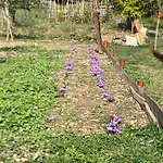 Apartamento Il Borghetto Di Carra