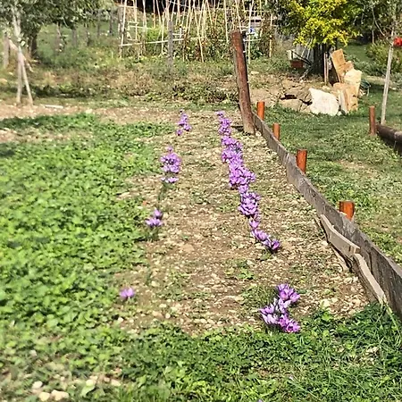 Apartman Il Borghetto Di Carra
