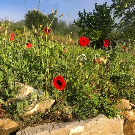Il Borghetto Di Carra