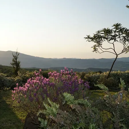 Il Borghetto Di Carra Apartman
